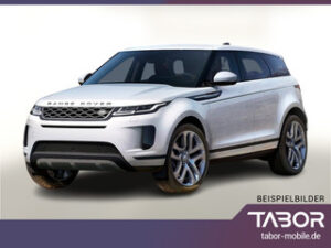 75500964_preview_01