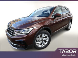 75712501_preview_01